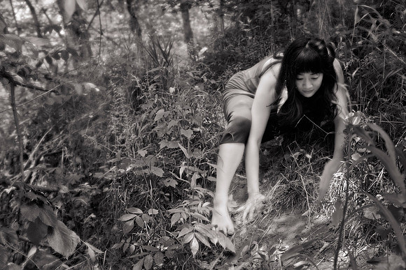 foraging