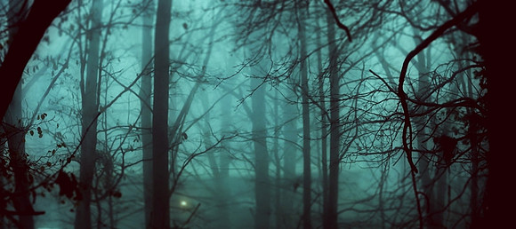 thefog