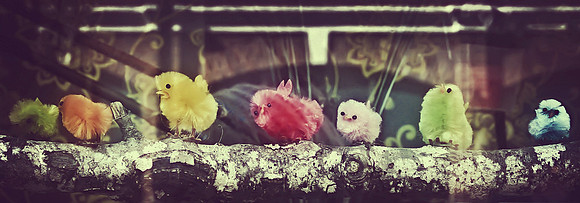 lepeep